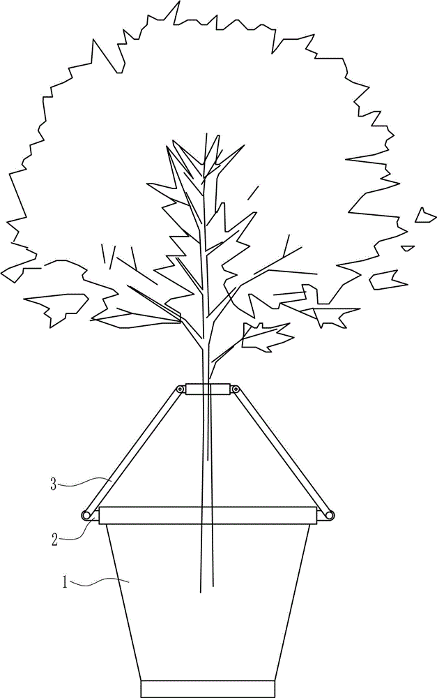 一種帶有固定植物裝置的栽樹盆的制作方法附圖